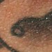 tattoo galleries/ - SPARROW